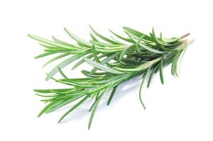Fresh Rosemary (20g)