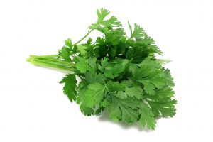 Fresh Coriander (20g)