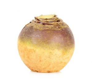 Cornish Swede (each)