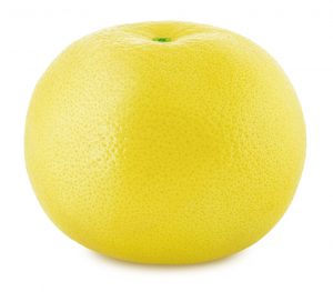 White Grapefruit (each)