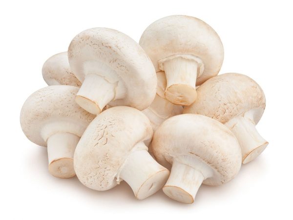 Cup Mushrooms (250g / 9oz)