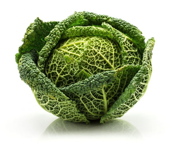 Cabbage in Season (each)