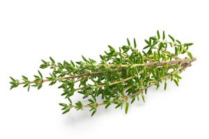 Fresh Thyme (20g)