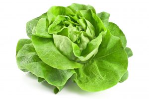 Flat Lettuce