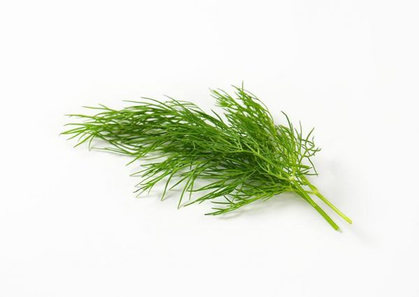 Fresh Dill (20g)