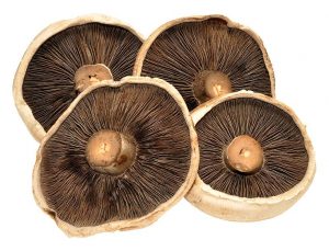 Flat Mushrooms (250g)