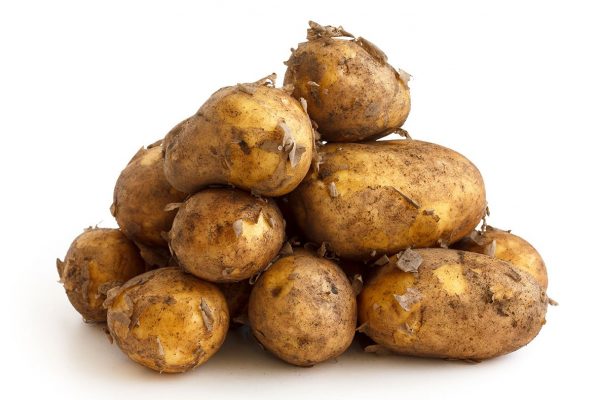 Cornish Potatoes (5kg)