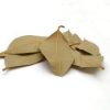 Bay Leaves 10g - Image 2